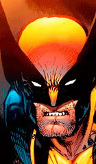 Wolverine - X-Men - AnimeComics