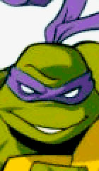 Donatello - Tartarugas Ninja - AnimeComics